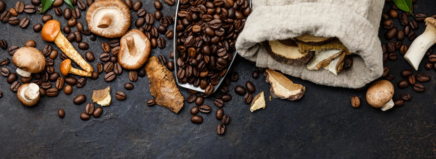 Mushrooms and coffee beans on a dark surface with a spoon and fabric bag.